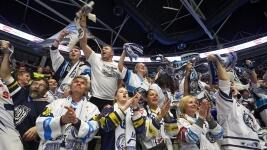 hokej fans